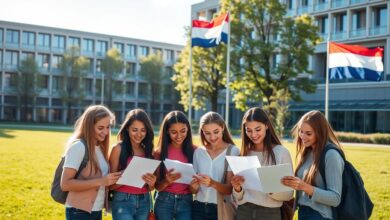 apply dutch scholarships